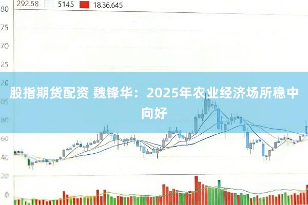股指期货配资 魏锋华：2025年农业经济场所稳中向好