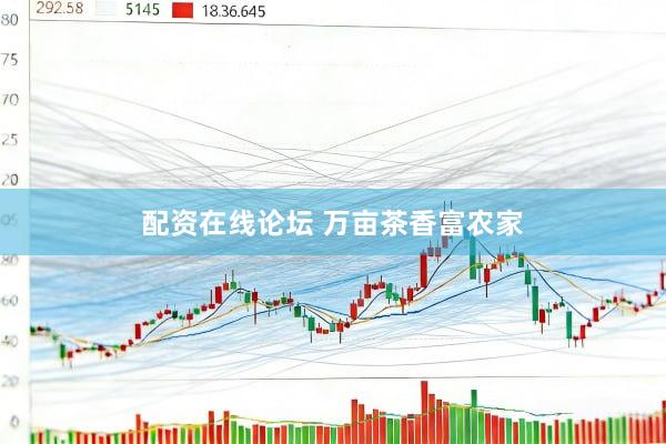 配资在线论坛 万亩茶香富农家