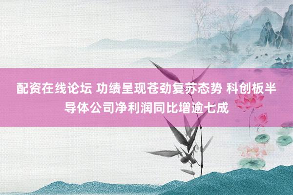 配资在线论坛 功绩呈现苍劲复苏态势 科创板半导体公司净利润同比增逾七成